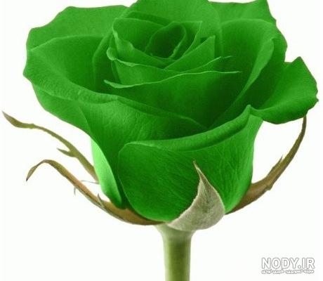 دانلود آهنگ نمیکنه چیزی حال مارو بد اصن واسه بعد اصن بزار واسه بعد اصن الکس اصلی